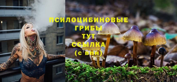 мдпв Усинск